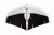 wing1.jpg